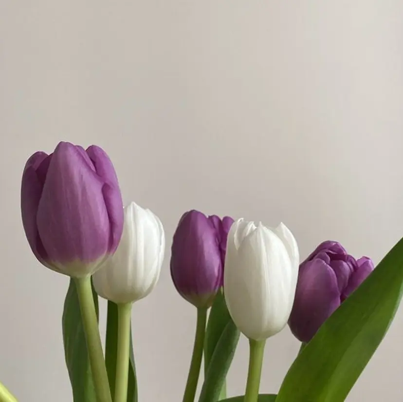 褒められブリーチ💗 透明感カラー/Saeの掲載