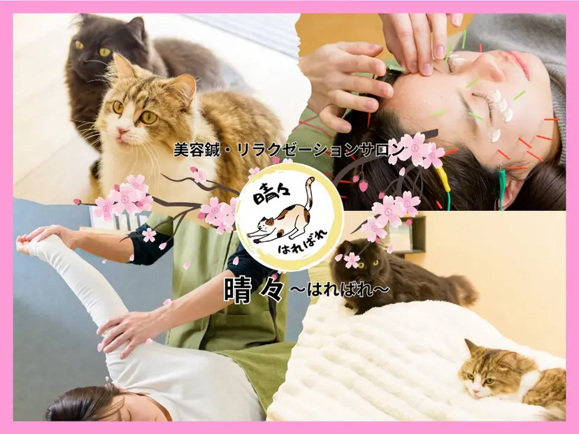 清水 茜音の掲載