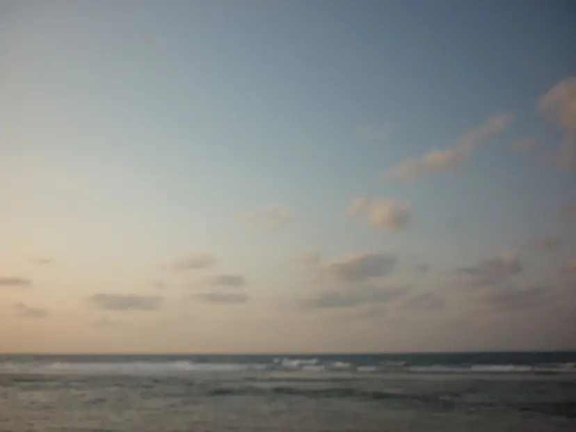 中田 桃夏の掲載