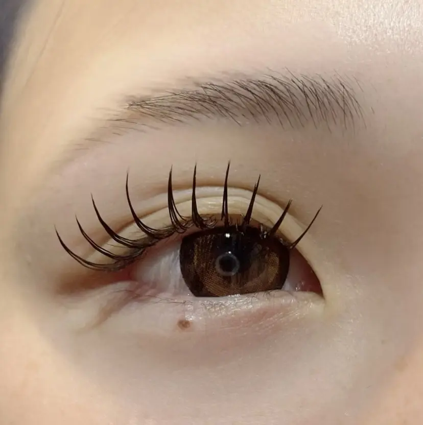 繁永 美穂の掲載