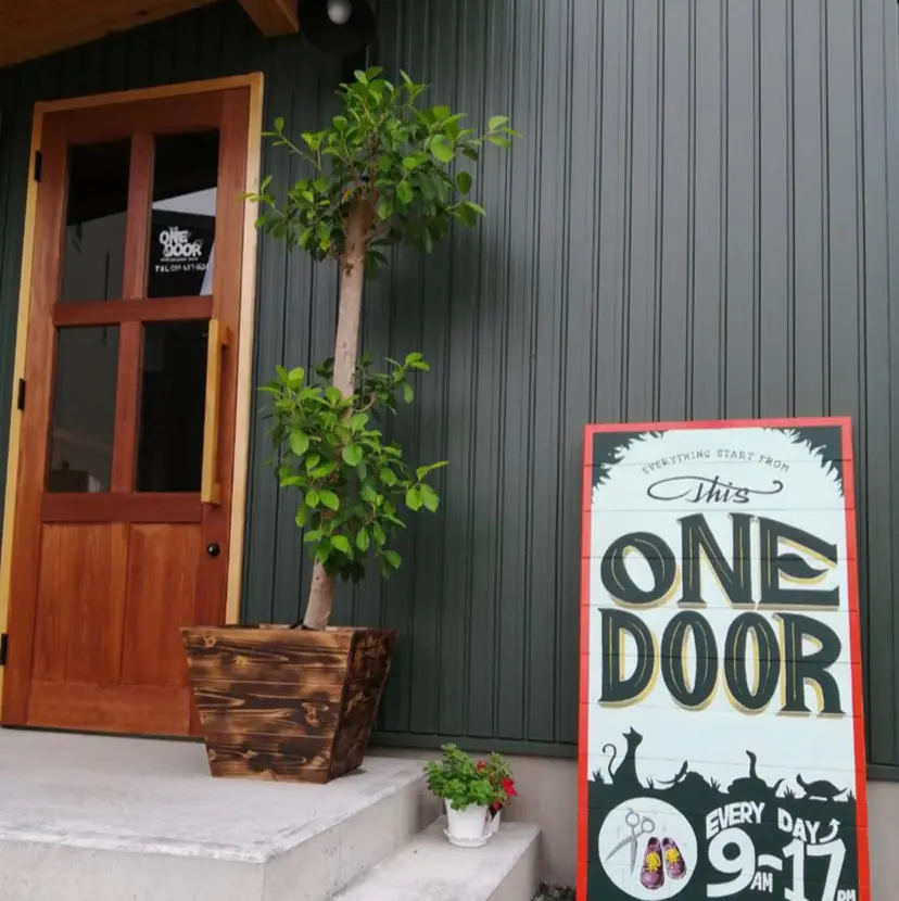 鈴木 梨紗の掲載