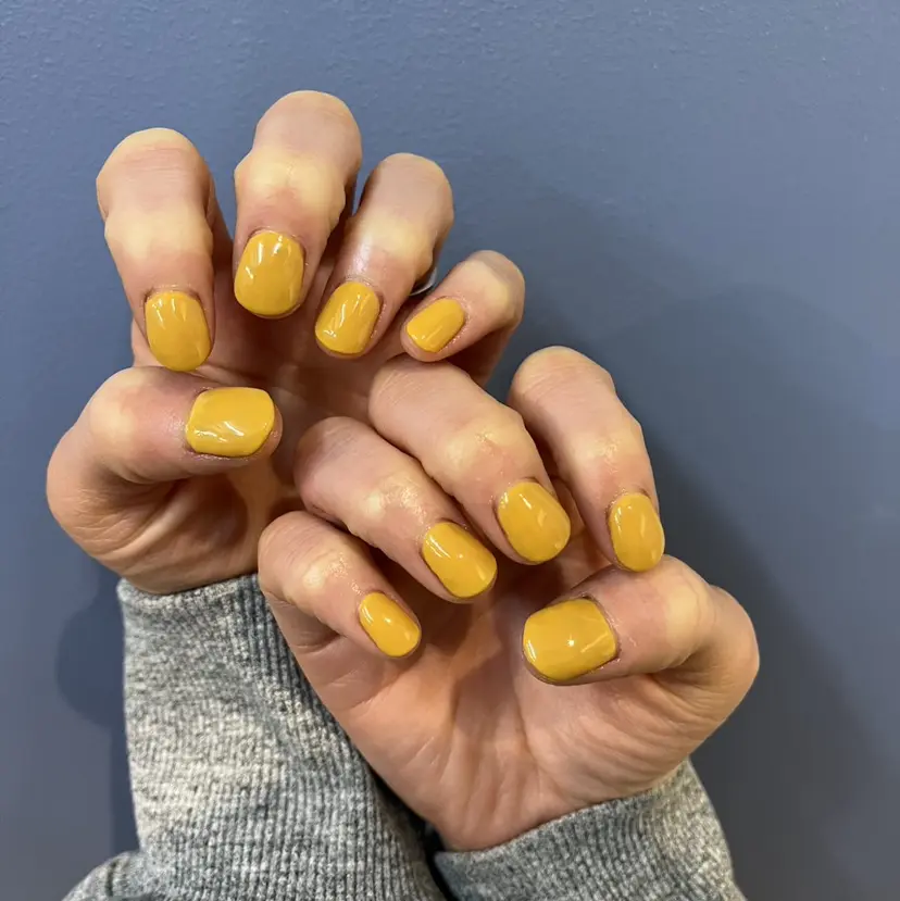 yoshino TRIOSの掲載