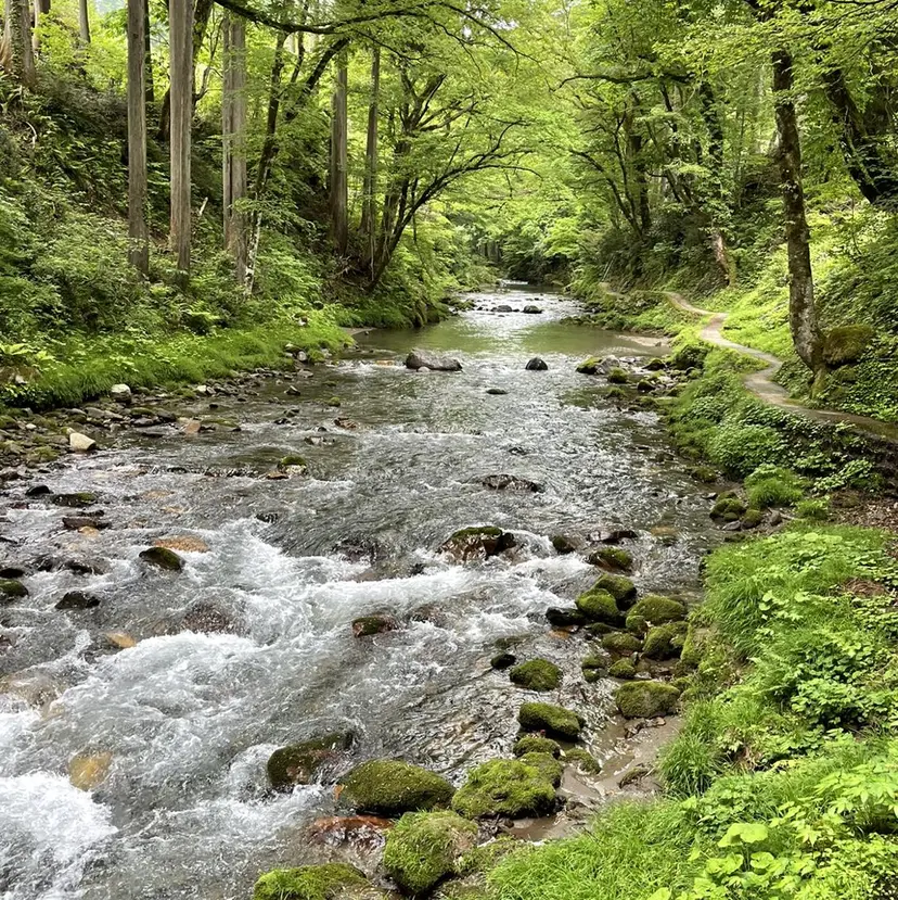 奥村 美咲の掲載