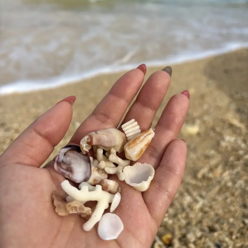 Makana /SAKIの掲載