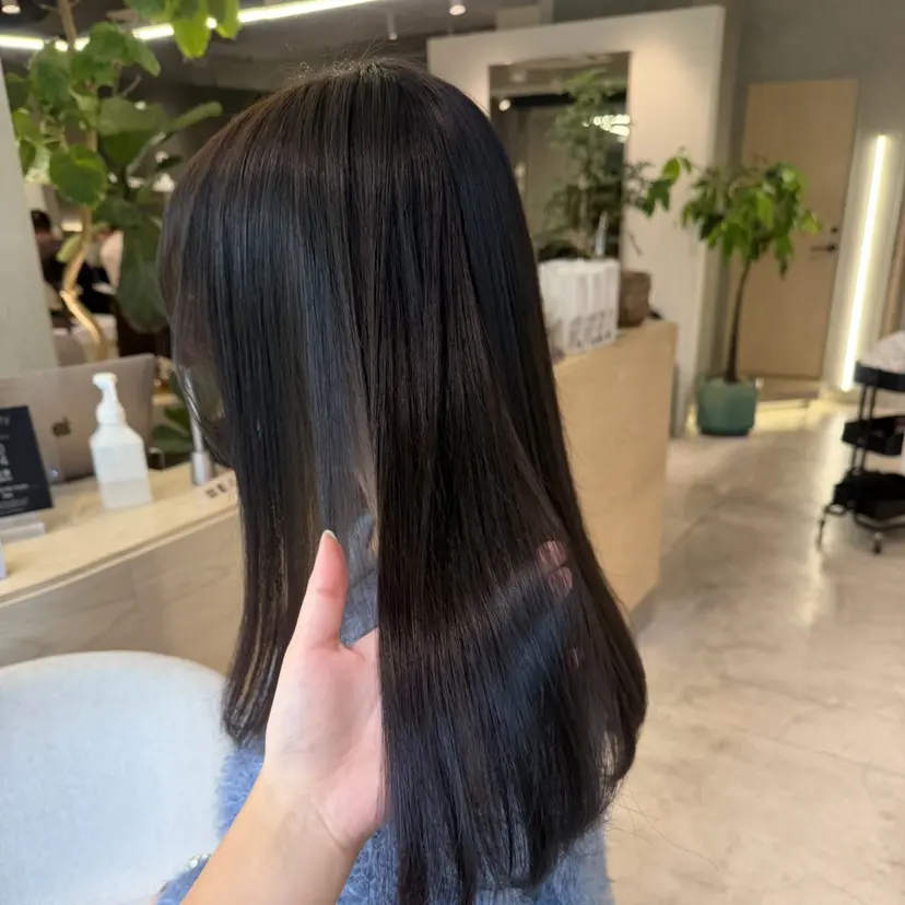 FUJIIKANON /矯正モデル募集中の掲載