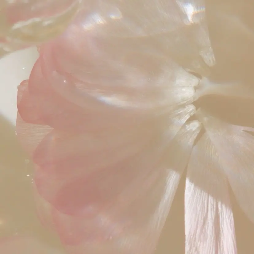 ゆず ☺︎の掲載