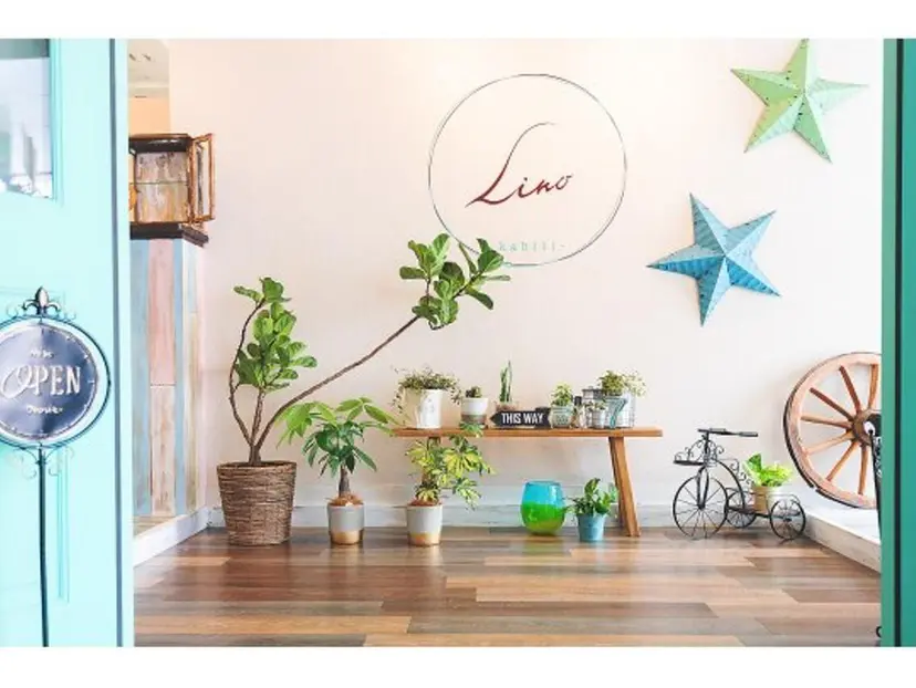 🐬Lino🫧 吉田 優花の掲載