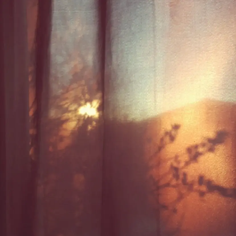 Bei nail MIKIの掲載