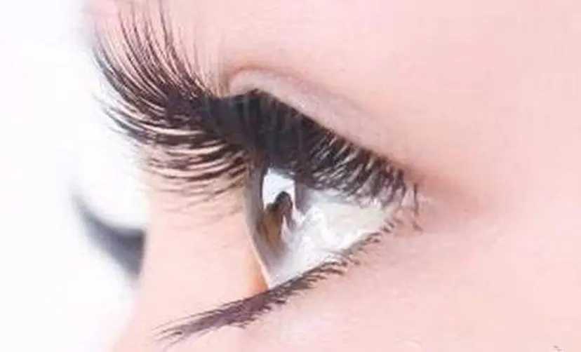 佐々木 瞳の掲載