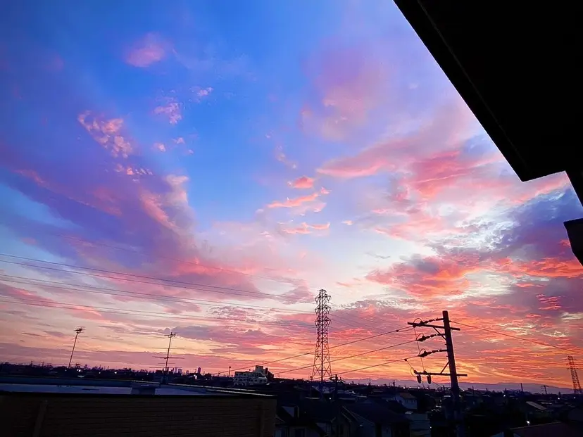 垣内 郁美の掲載