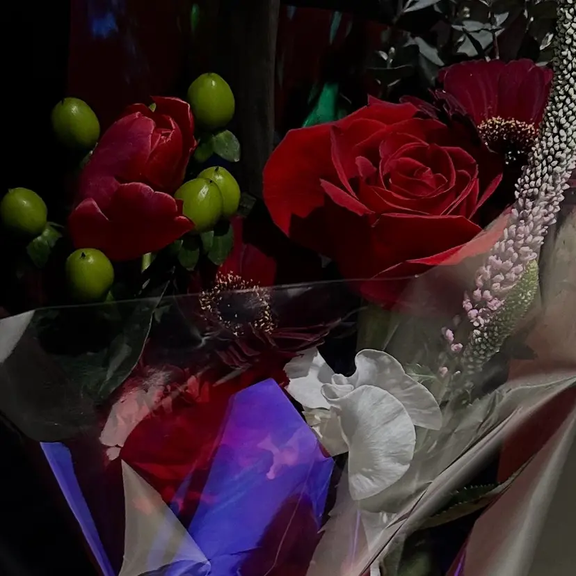 WARES TOWA ☾の掲載