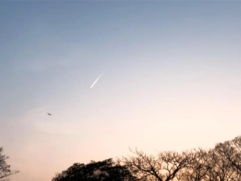 REINA/ブリーチ /ハイトーン/原宿の掲載