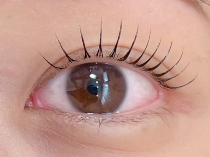 関根 遥香の掲載