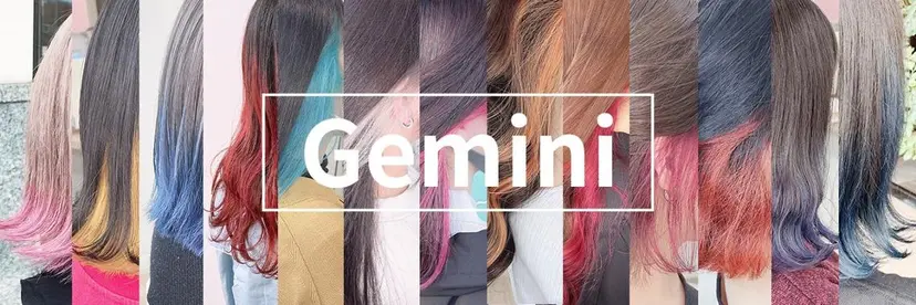 Gemini代表 Maedaの掲載