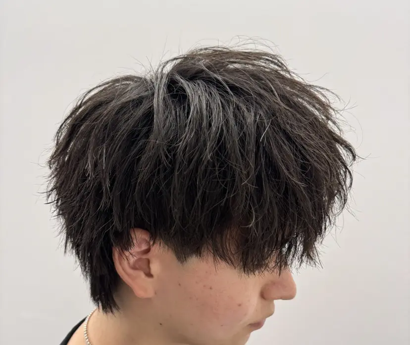 並木 政太郎の掲載