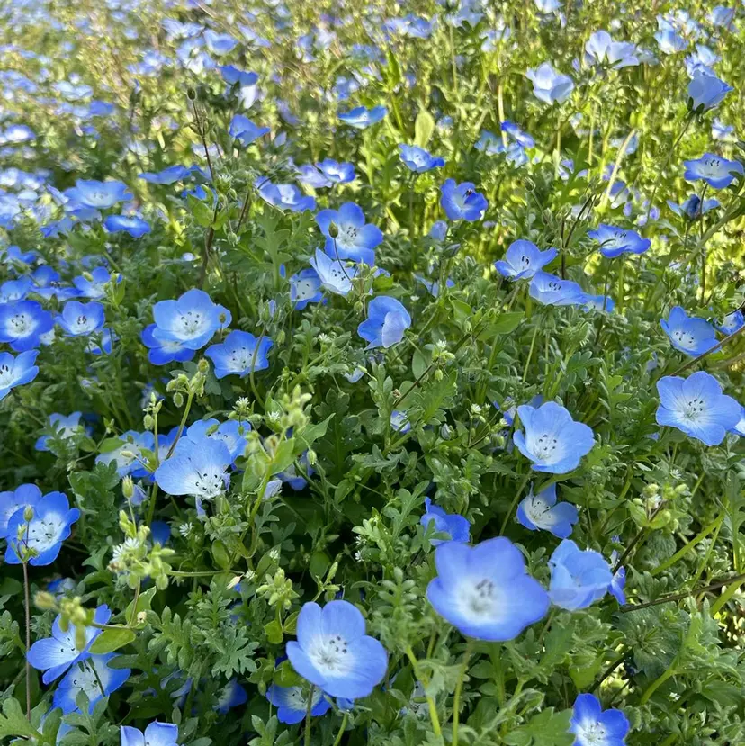 🧡Ercher 小島🧡の掲載