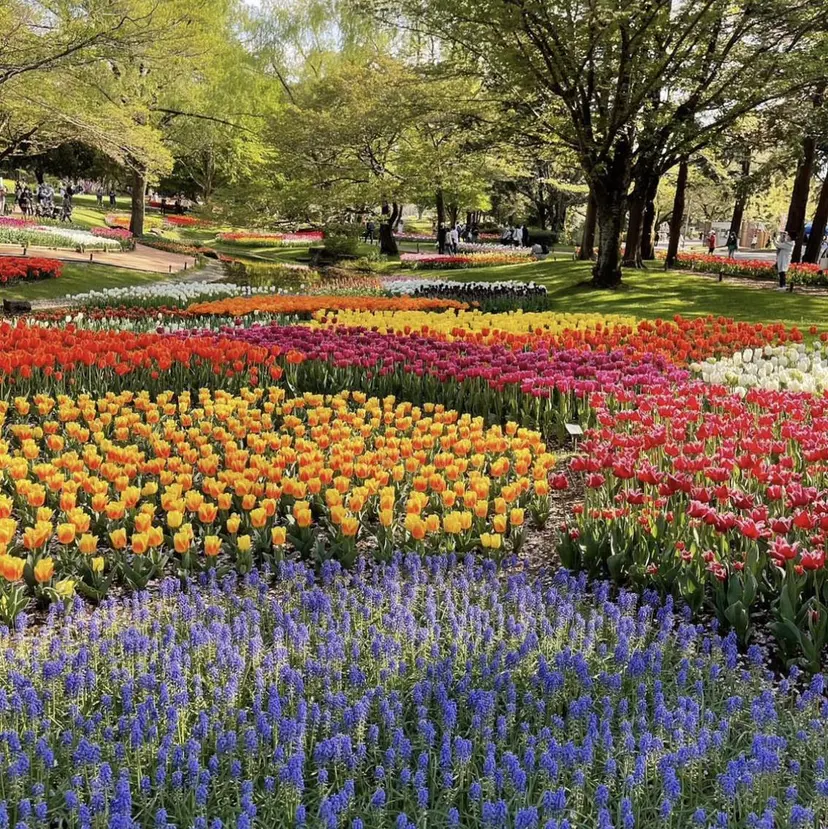 杉山 優香の掲載