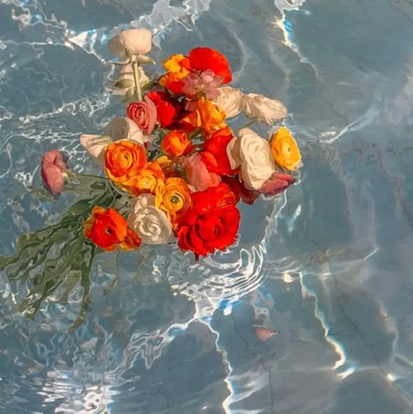 シロマ ライカの掲載