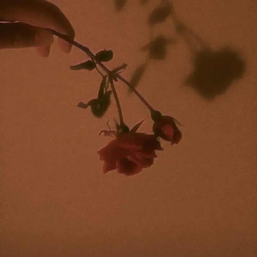 Authen. soraの掲載