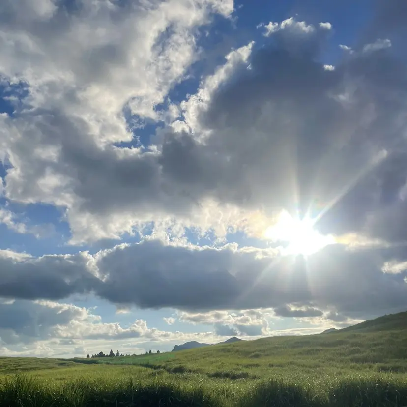 オオトミ ホノカの掲載