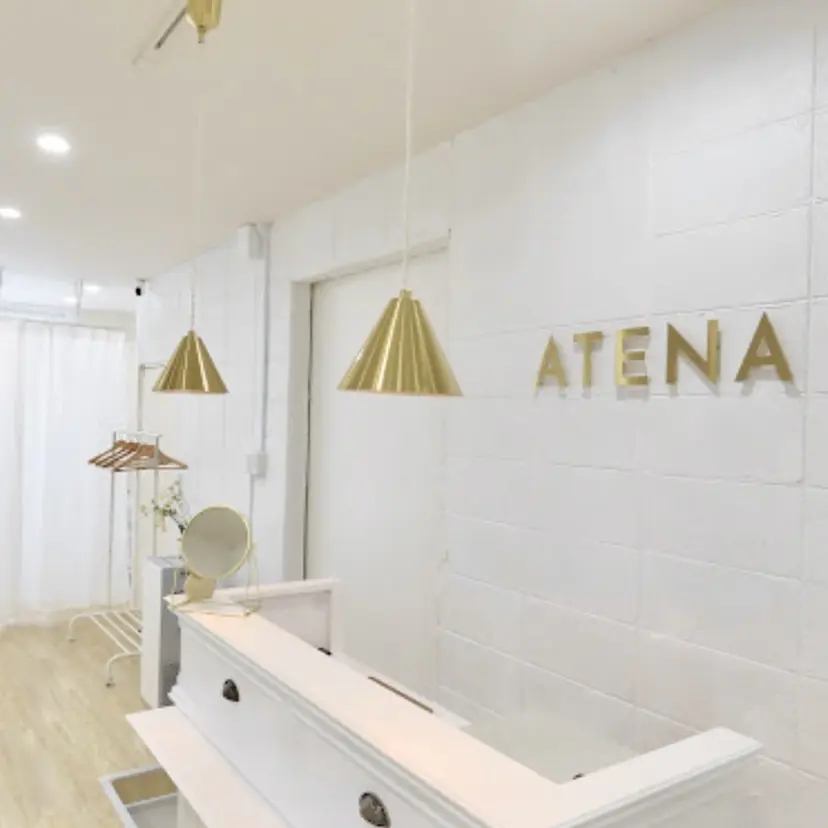 ATENA ミクの掲載