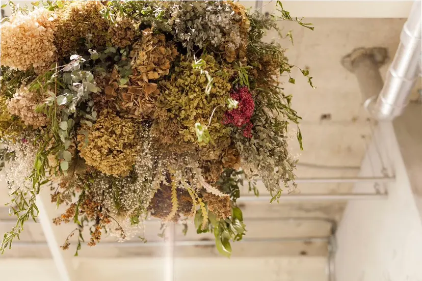 goen/ カミムラシュウヘイの掲載