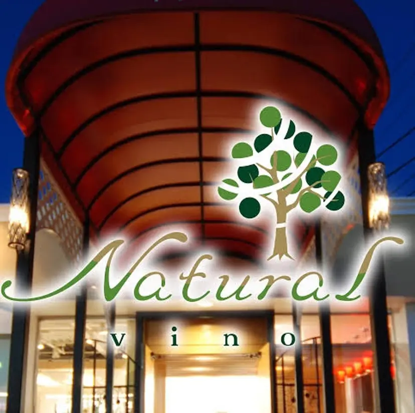 木村 玲穏の掲載