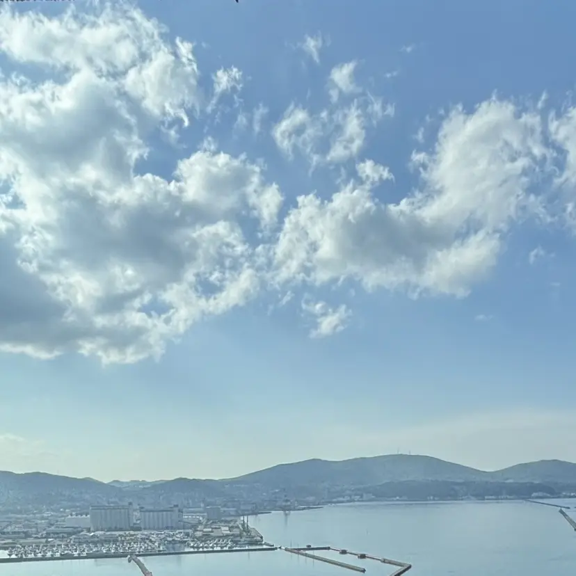 あや 🐰ྀིの掲載