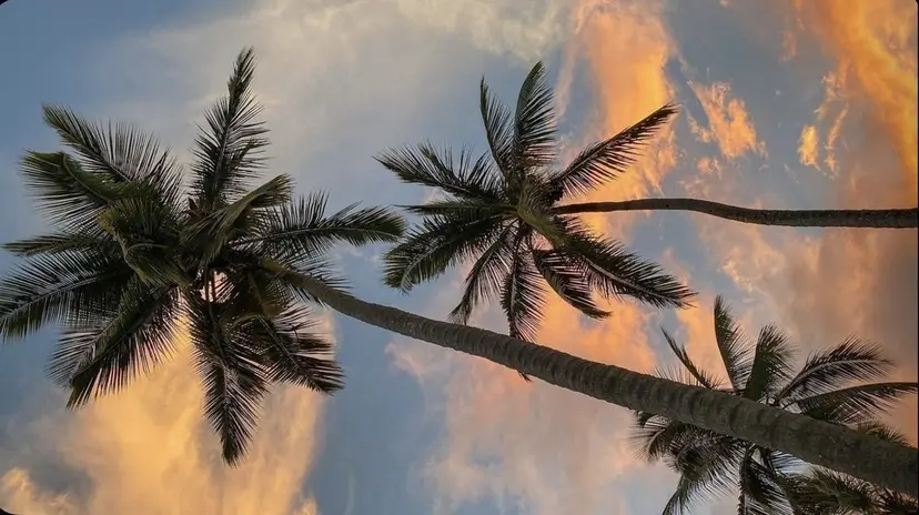 eyelist 松沼の掲載