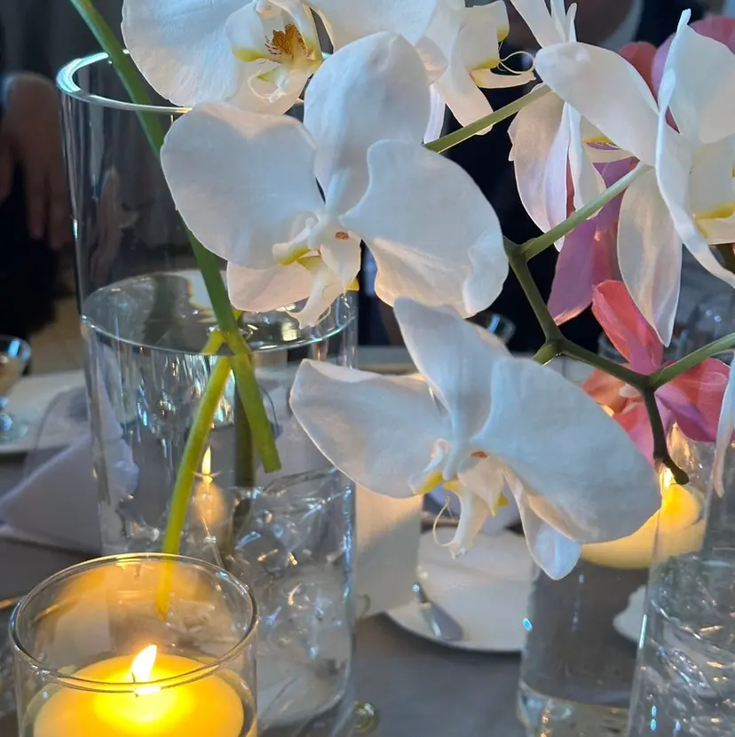 ヒヨシ ルナの掲載