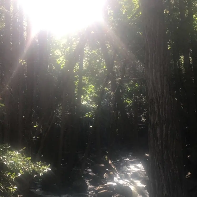 designK阿部 愛香の掲載