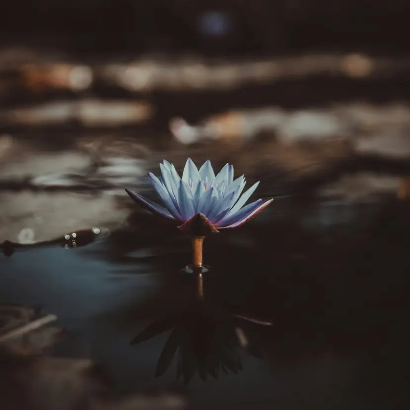 ミエル横浜 小林の掲載