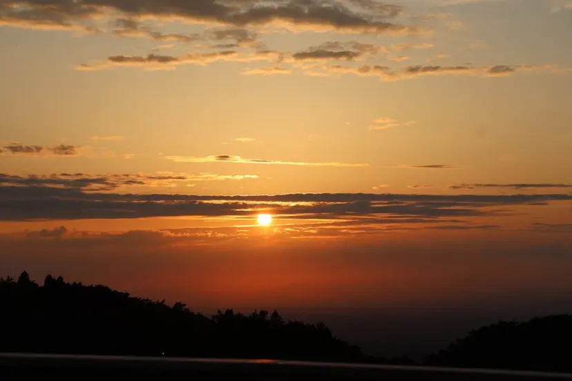 菱田 天斗の掲載