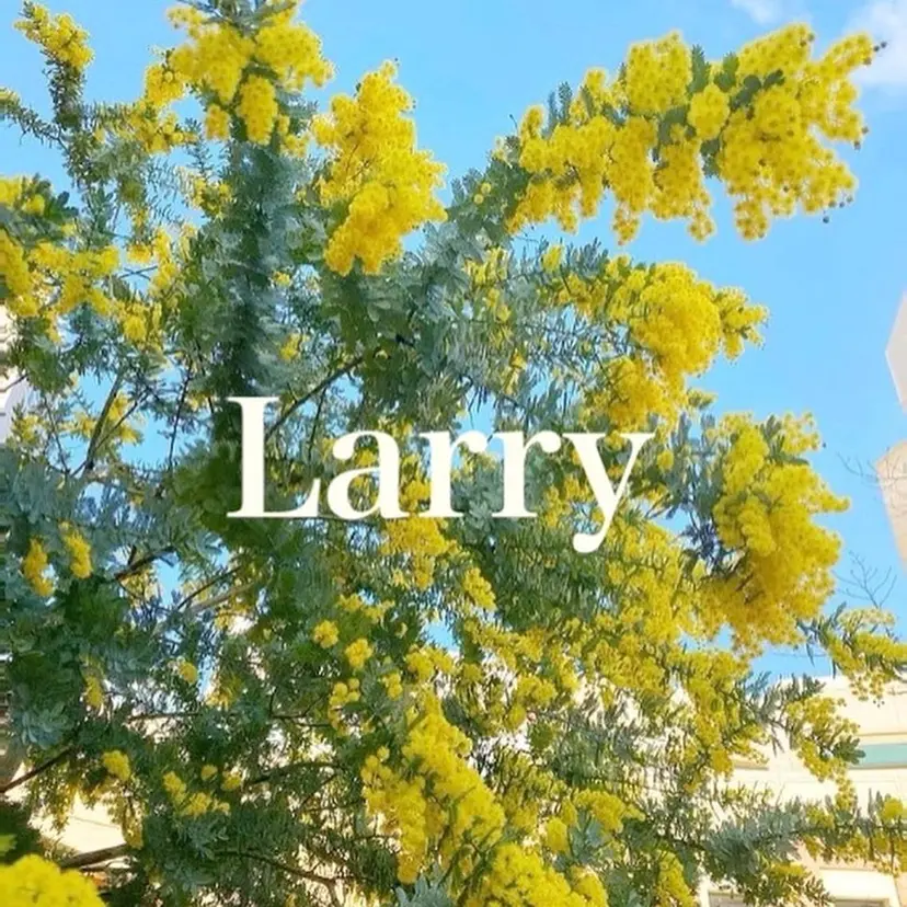 Larry🌼中下 美香の掲載
