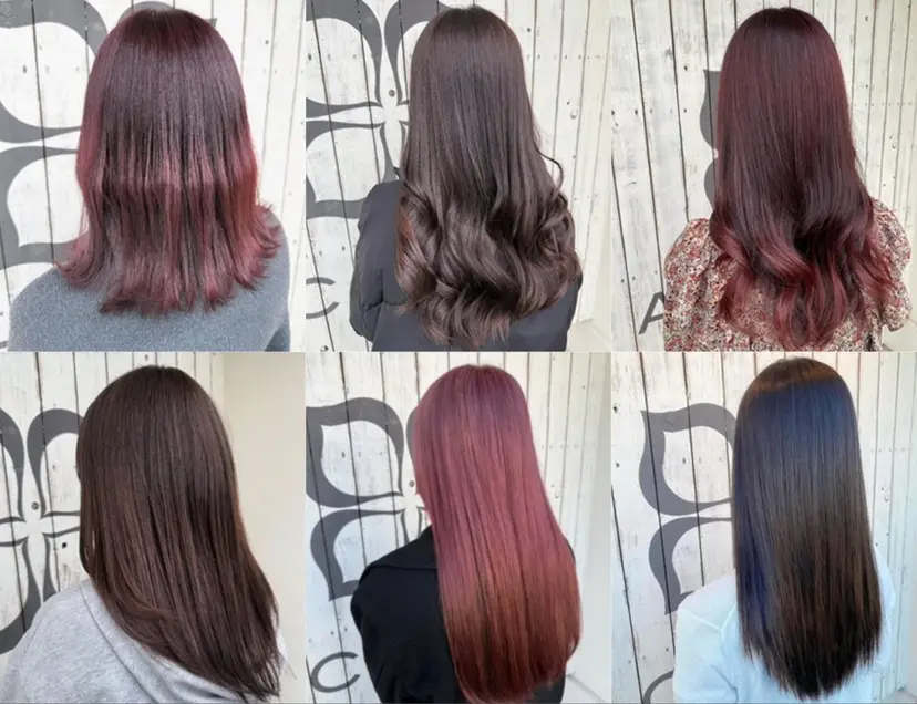 伊庭 勇輝の掲載