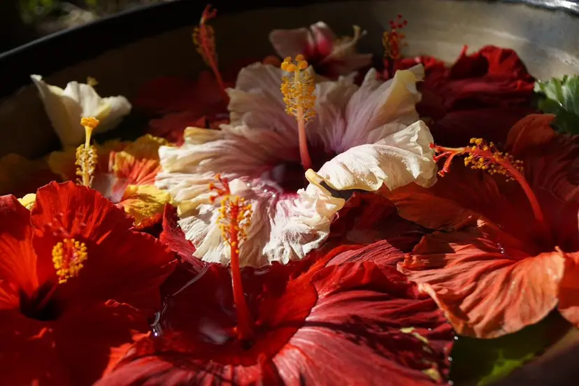 似合わせ小顔カット 🌟神谷 ヨシタカの掲載