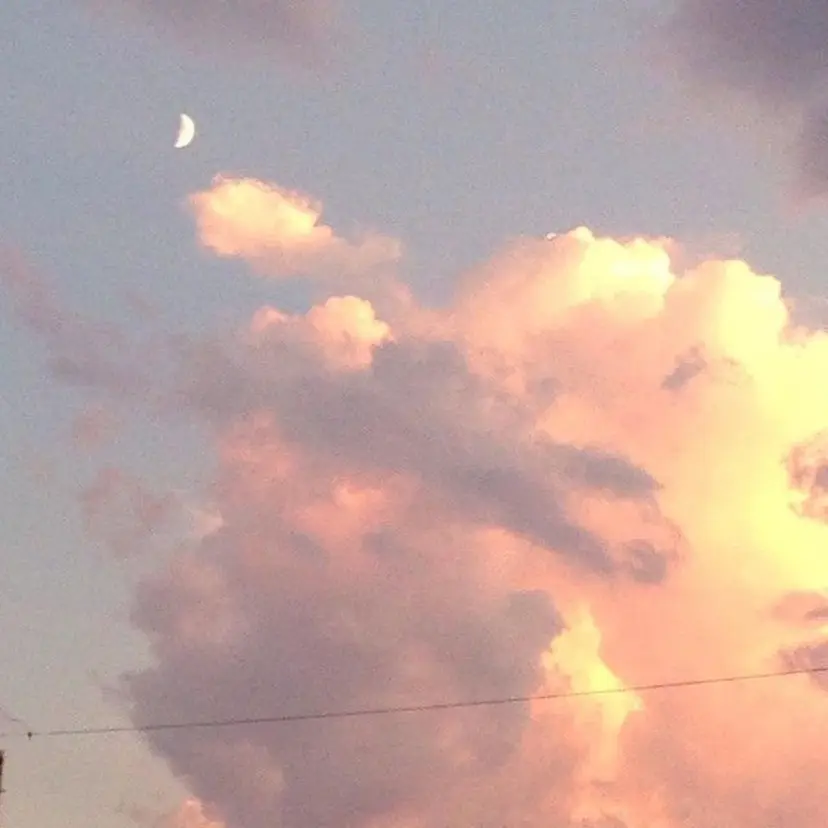 grandjete 濱野の掲載