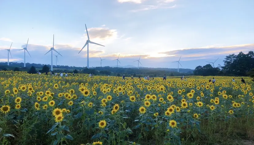 ayaka🌻 モデル募集中の掲載