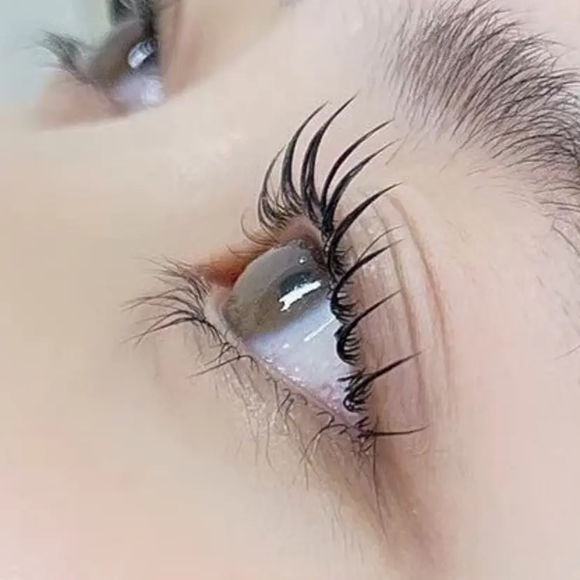 加藤 結花の掲載