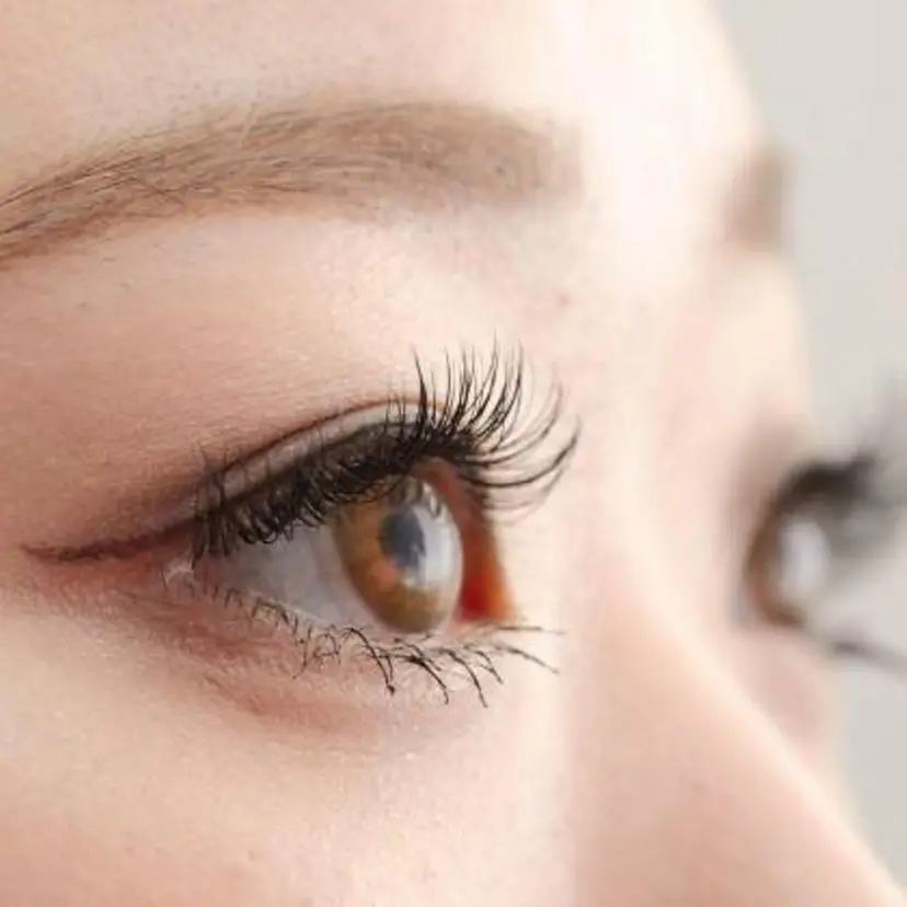 アイエスト新宿店 /ホガリの掲載