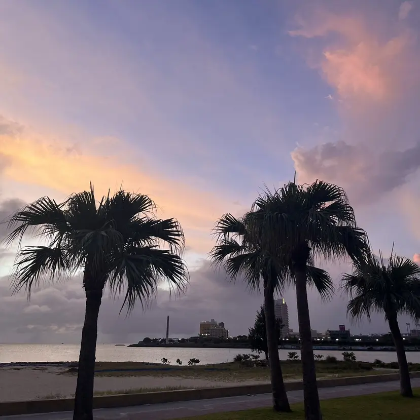 eyelist Ayanoの掲載