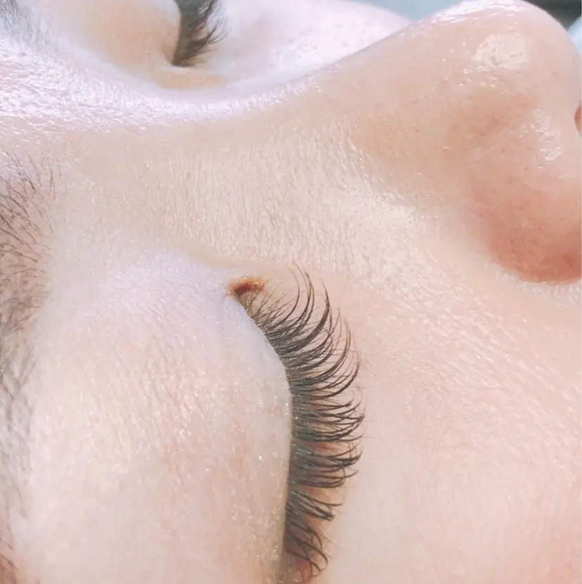 perfection 浜島の掲載