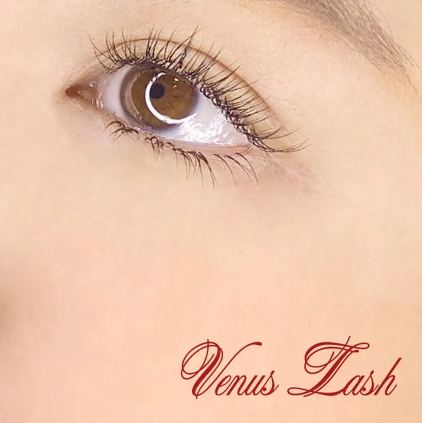 ヴィーナスラッシュ WATANABEの掲載