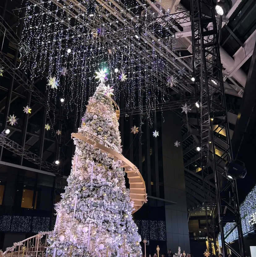 マリーテレジア KIKUCHIの掲載