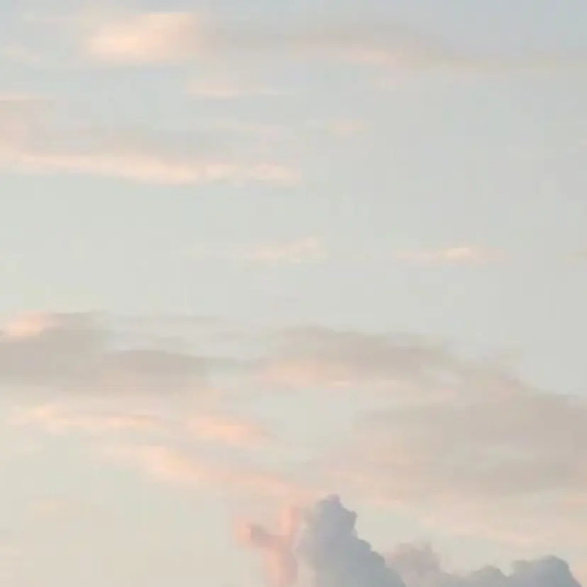 杉田 涼の掲載