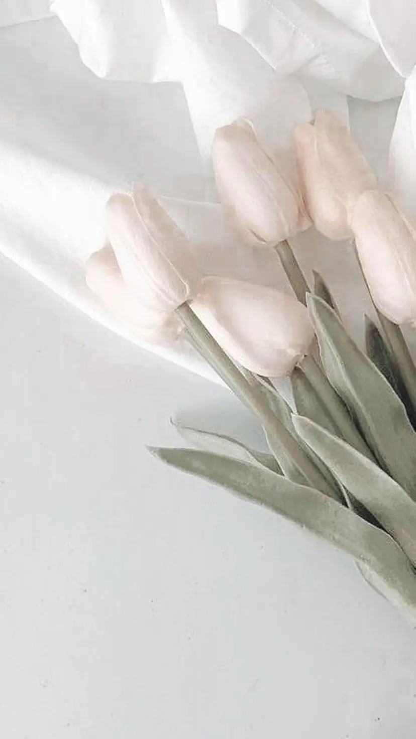 片桐 祥子の掲載