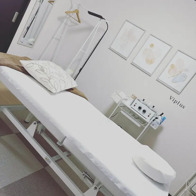 Viplus ビプラスの掲載