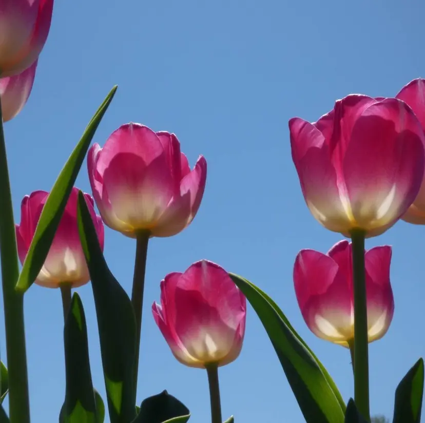 BeckyLash 広瀬の掲載