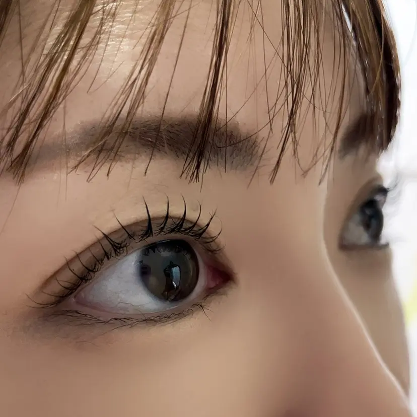 mani yukariの掲載