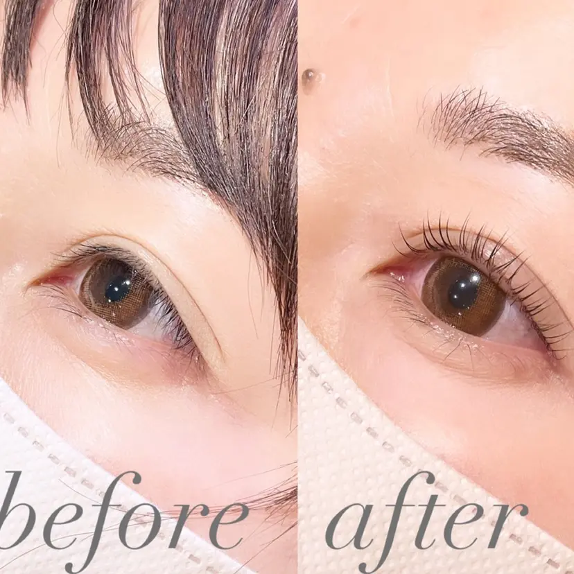 照井 美璃の掲載